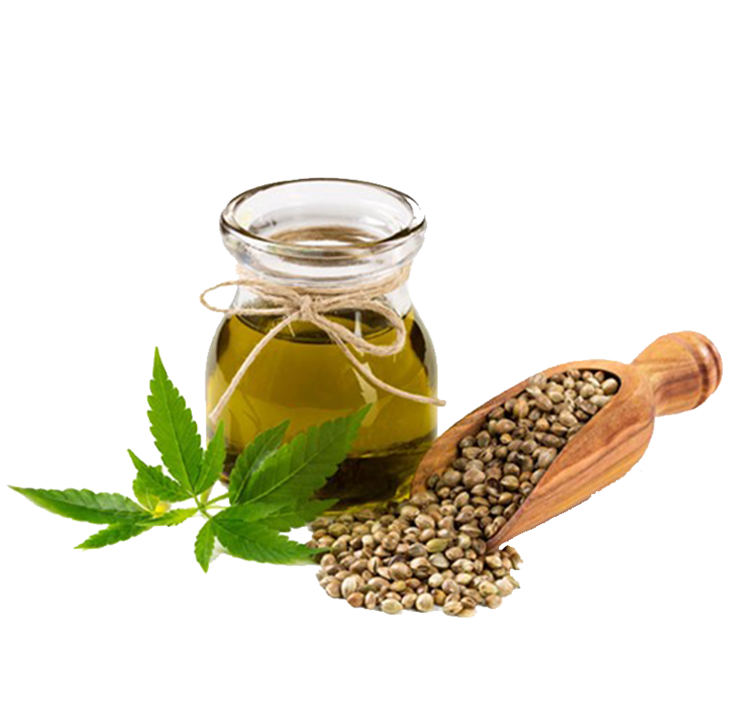 Hemp leaf, hemp oil, and hemp seeds